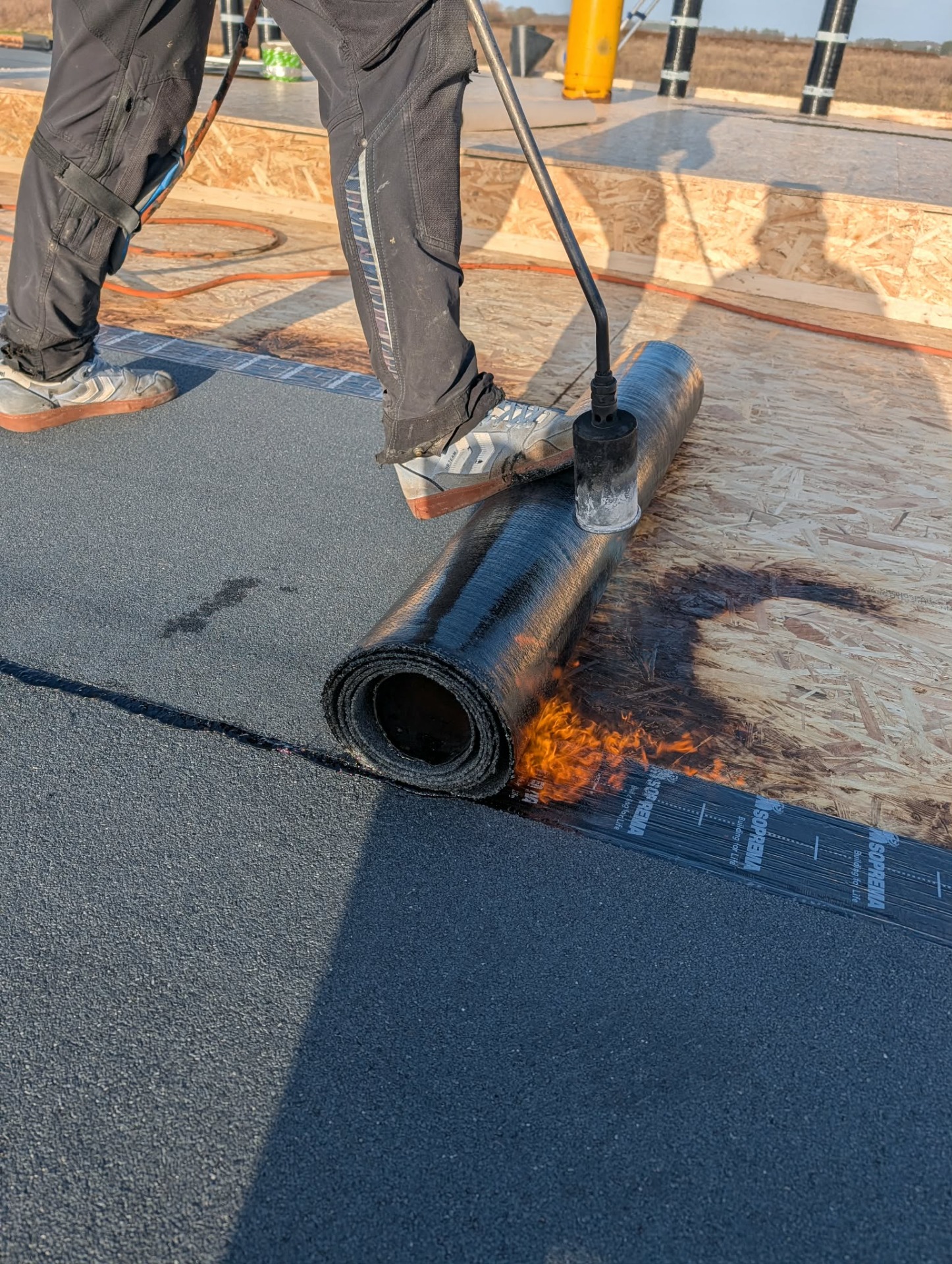 Tagpap fra projekt i Aalborg